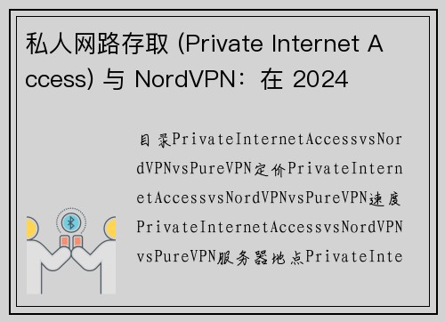 私人网路存取 (Private Internet Access) 与 NordVPN：在 2024 